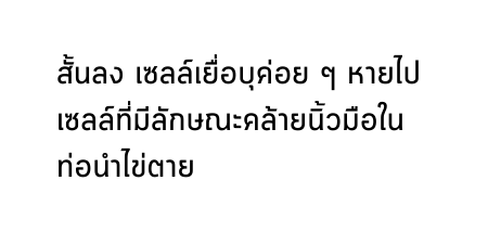 ส นลง เซลล เย อบ ค อย ๆ หายไป เซลล ท ม ล กษณะคล ายน วม อในท อนำไข ตาย